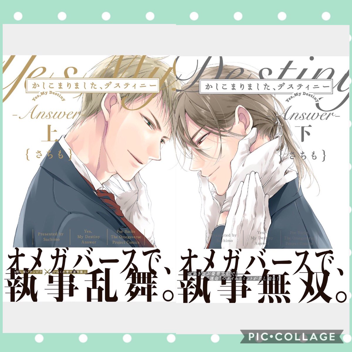 とらもこ A Twitter 17年6月購入25 26 かしこまりました デスティニー Answer 上 下 さちも 久藤優人 A 西園寺家の執事長 宮内一郎 B 西園寺家執事 上下巻 同時購入しました とても気になってた2人の続きが読めるの楽しみに待ってました ㅈ