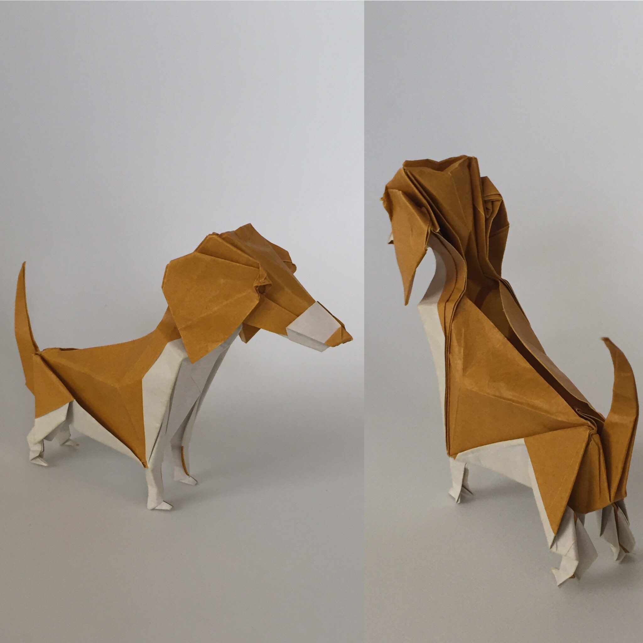 折り紙職人 ビーグル犬 川畑文昭さん作 折紙探偵団マガジン130号より 30 普通の折り紙使用 折るのは2回目ですが 今回は満足いく出来になりました ビーグル犬の特徴や ふっくら感 立体感がすごく出ていて 川畑文昭さんの本気が見える作品で