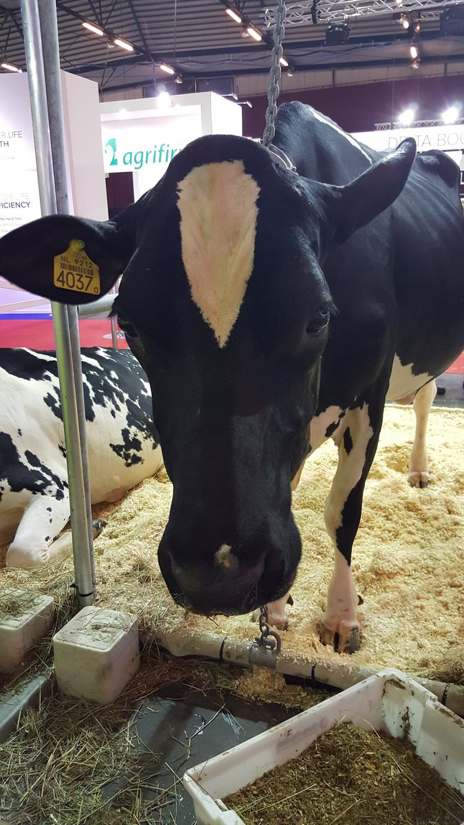 Het staat er weer op. Fotografie NRM 2017 IJsselhallen Zwolle. #standfotografie
