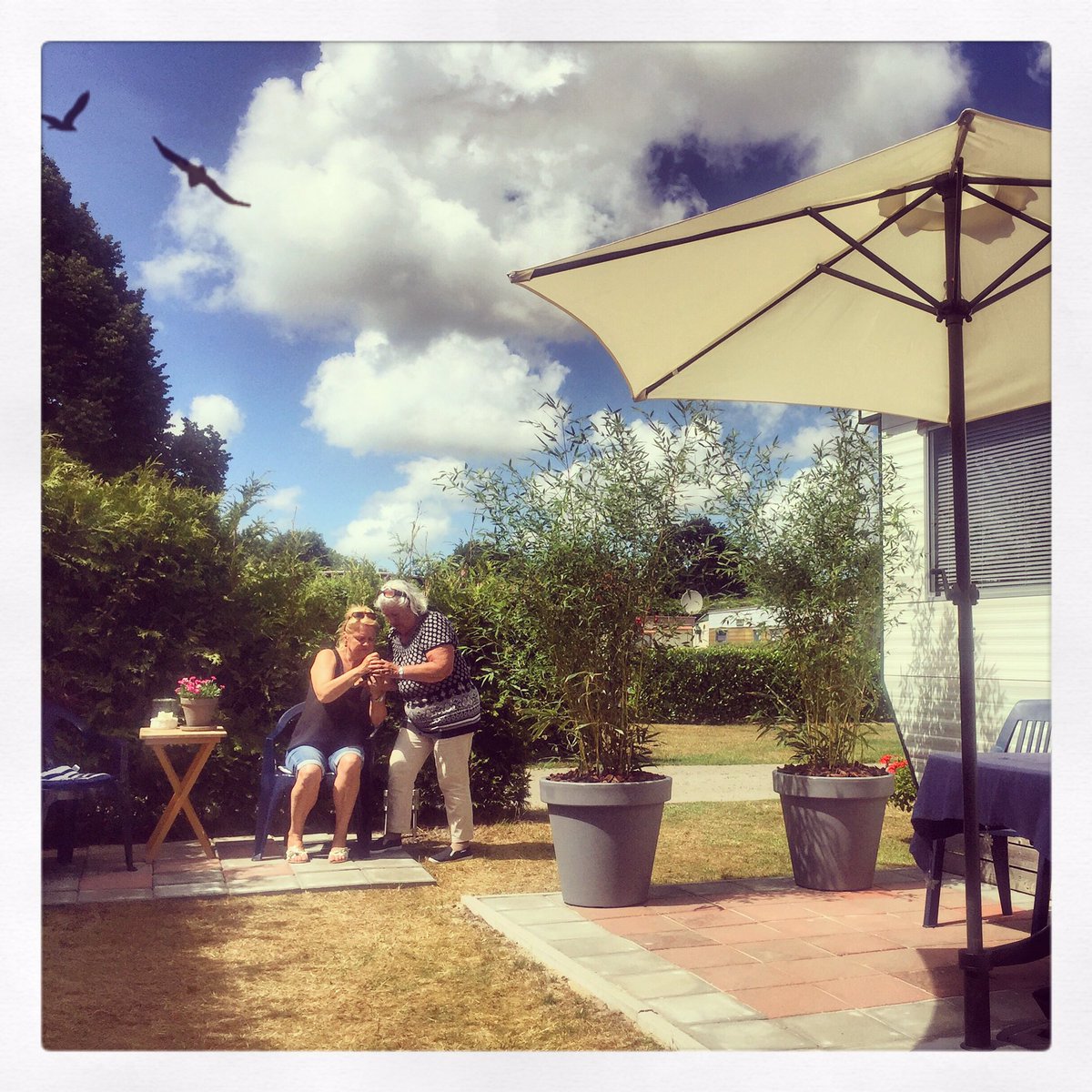 SjDepp's tweet image. Artviewer, Rijs (Friesland) met puur Hollandse luchten...ons verblijf.