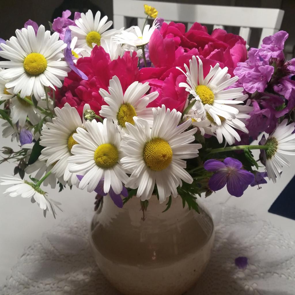 Plockat blommor i egen trädgård. Det är njutbart.