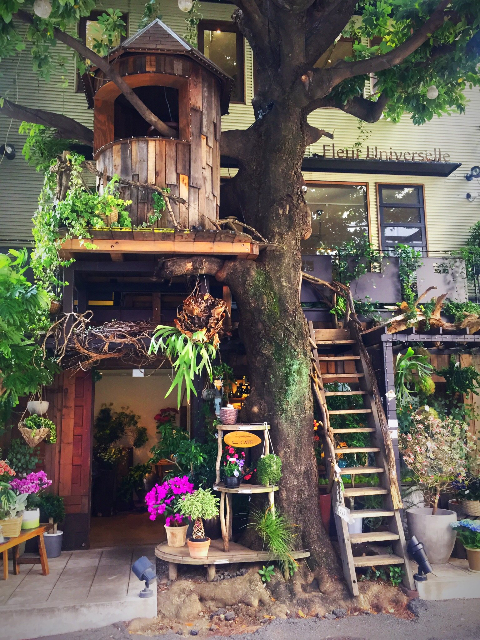 柊ユウ プレゼントの人 広尾 レ グラン ザルブル ツリーハウスカフェ 花屋とカフェが融合したお店は外観 から楽しめ 店内もおしゃれ おすすめはヘルシーデリプレート サラダ デリ3種類 ハム2種類 スープ ブラウンブレッドのセットでお店の