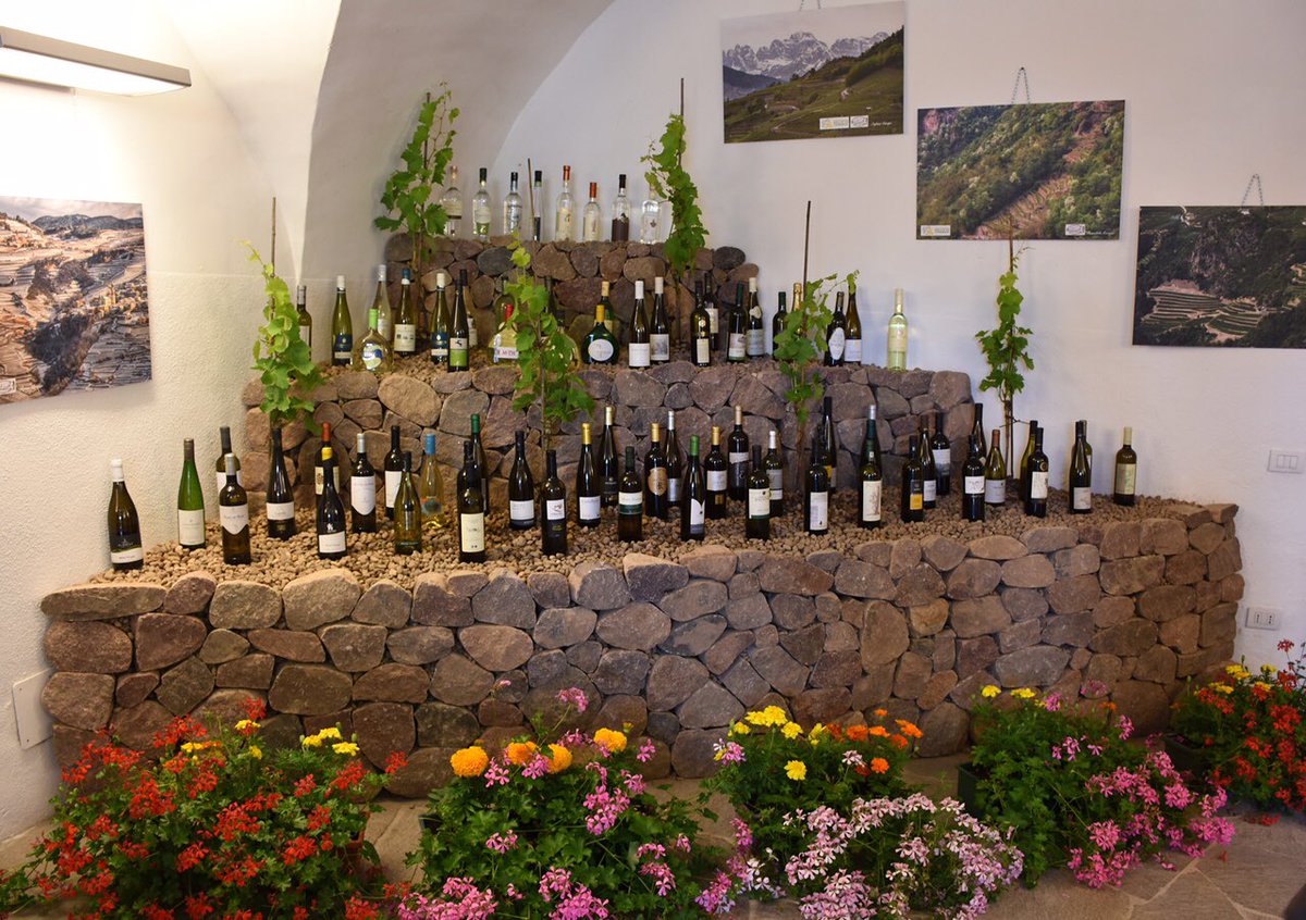 Assegnate le medaglie d'oro e d'argento a #rassegnamuellerthurgau info: bit.ly/2tBmSxc