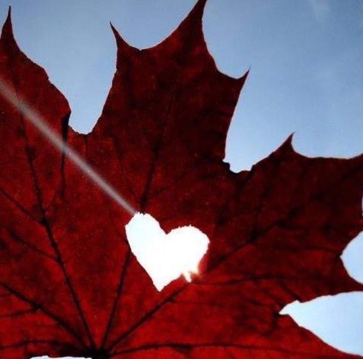 Wishing everyone a Happy Canada Day,as we celebrate150 great years,be safe,be compassionate&amp;enjoy all this country has to offer! #Canada150