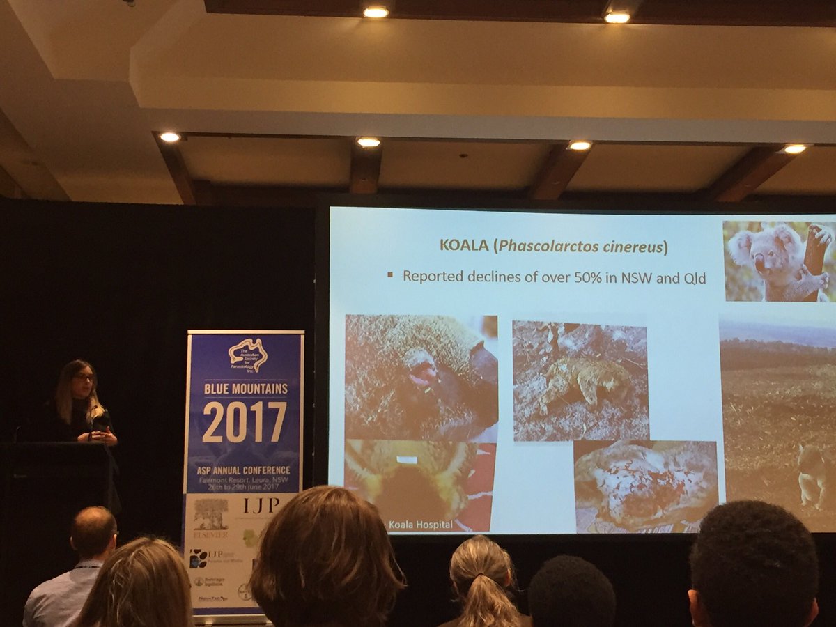 cryptick_lab's tweet photo. #proud of our #crypticklab #phd students who presented at #ASP2017 in Leura #BlueMountains @VetLifeScience @AS_Para #parasitology https://t.co/7DeiSZslNf