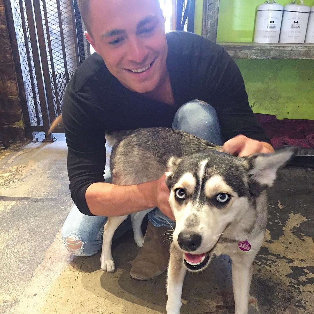 MeganxSharp's tweet photo. look at my cutey pie!! Alex isn't bad either https://t.co/rJLBdBfj1X