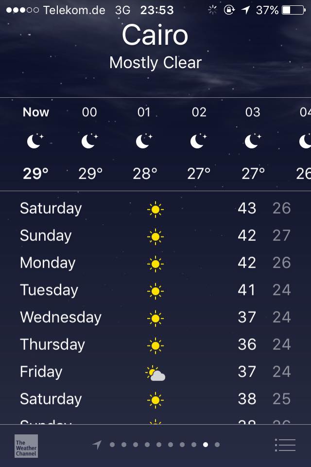 Milly Day tweet media