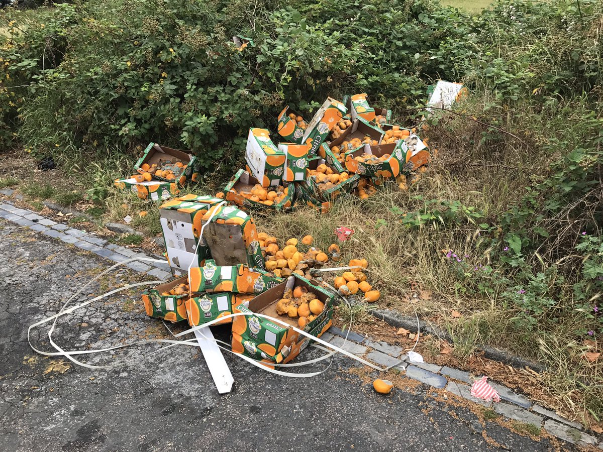 <a href="/CoLEppingForest/">Epping Forest</a> <a href="/NewhamLondon/">Newham London 💙</a> this mornings flytip on Sidney rd/Wanstead flats.too much to pick up on our pond litter pick tomorrow