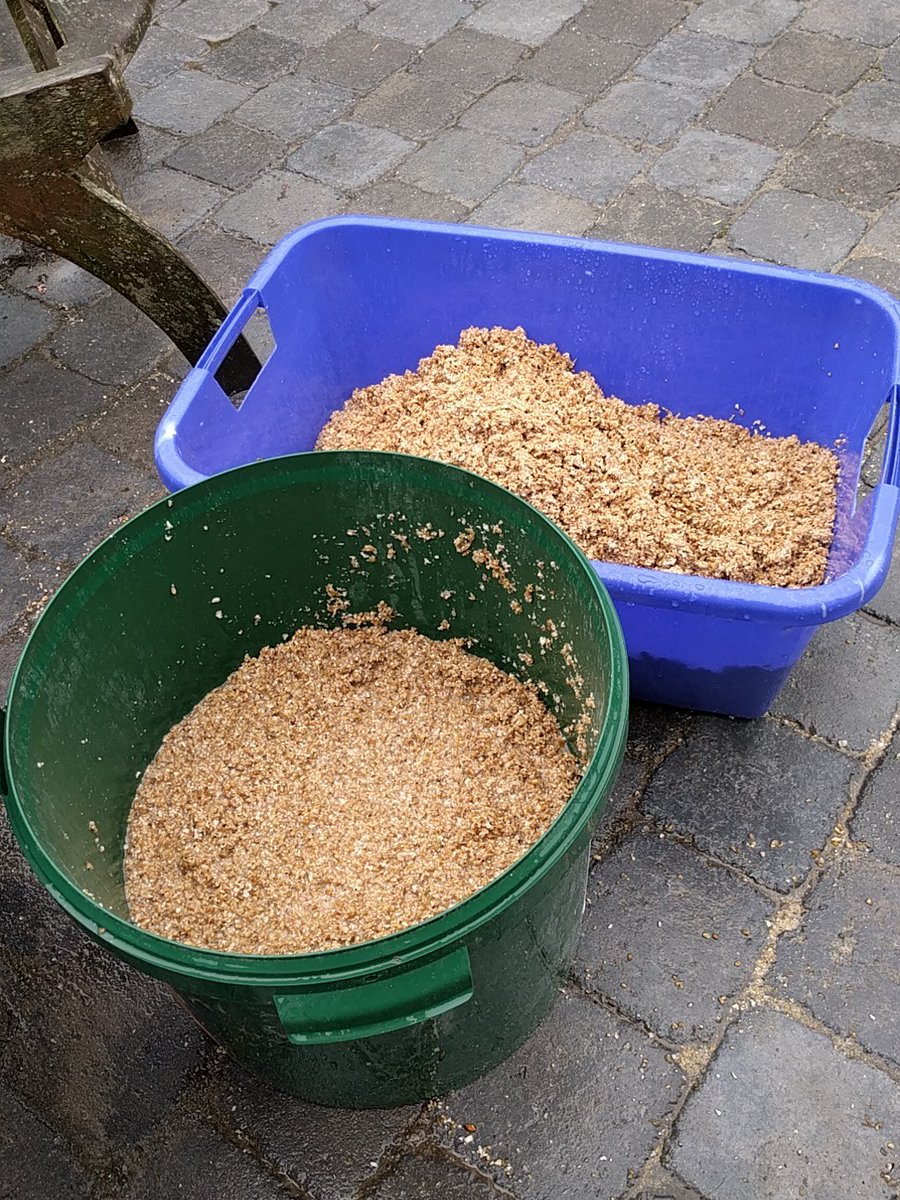 Ivo Devlaeminck Ivvl Twitter