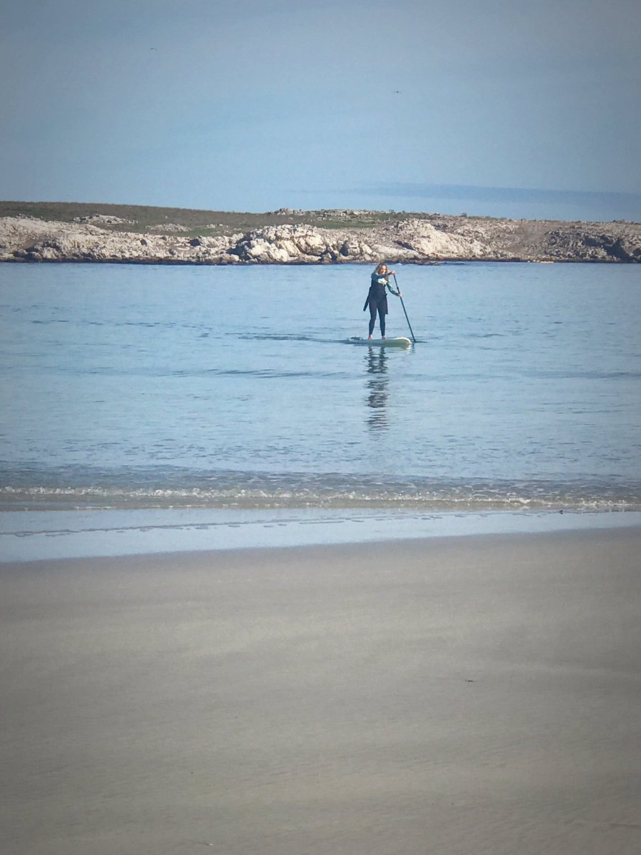 What a beautiful experience paddling around Schaapen Island in Langebaan with <a href="/WINDTOWNSA/">WINDTOWN SA</a>. R250 guided or R100 p/hr solo. #visitWestCoast
