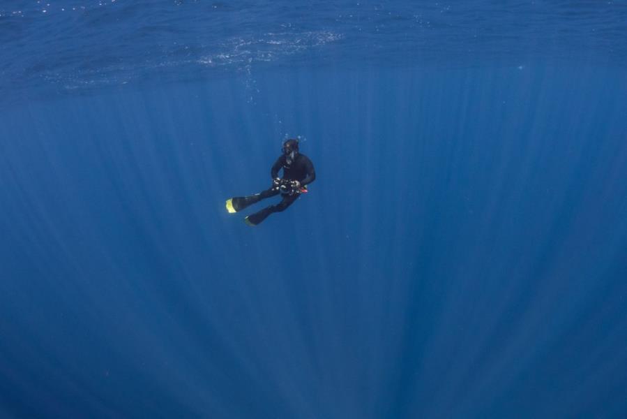 Suspended in the open waters of the #SavageIslands . Photo by: Andrew Park #scuba goo.gl/mYvYxm