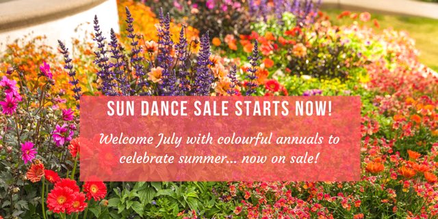 Ego's Garden Centre (@egosgarden) on Twitter photo 