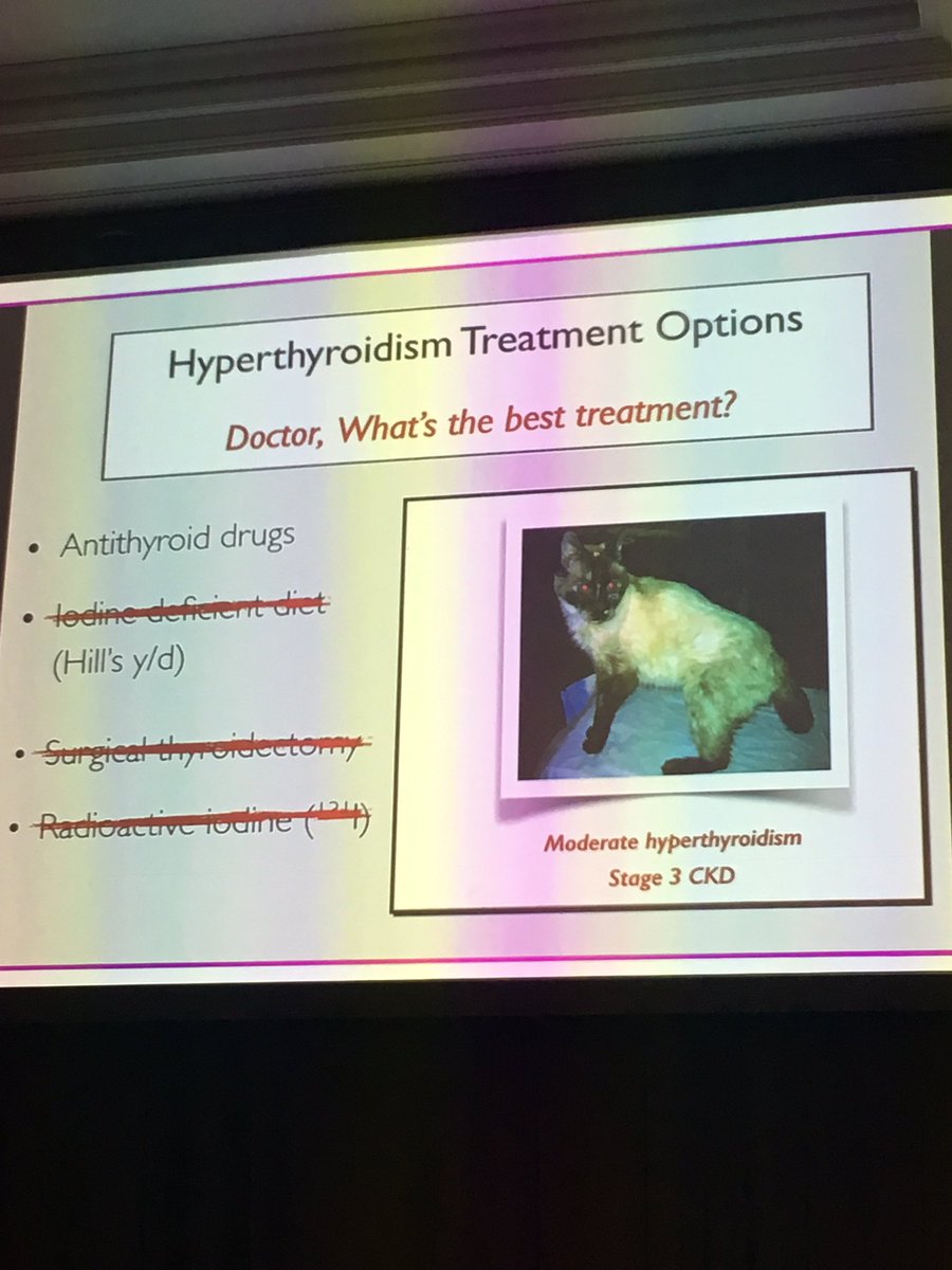 agavet's tweet photo. Hyperthyroid treatment must be tailored to each individual. #ISFM17 #EndocrineVet #CatHyperthyroidism https://t.co/DFY1w90l1g