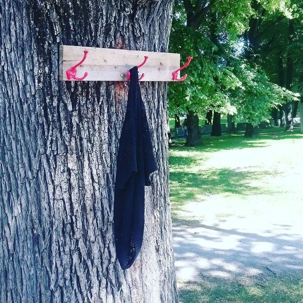 Nabolagshager's tweet image. Gratisknagg i botsparken! Ta med deg et plagg om du fryser, heng fra deg et du har til overs! #grønlandoslo #botsp… ift.tt/2t2byZg