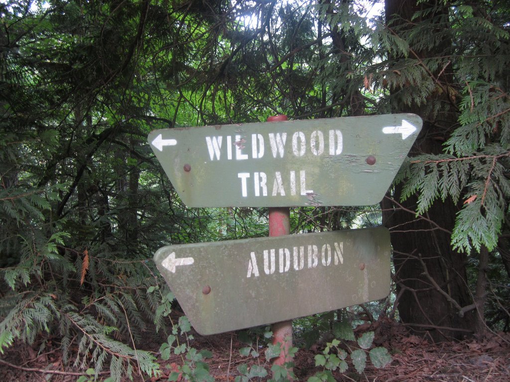 John at <a href="/ProFocusTech/">ProFocus Technology</a> recommends the #wildwood trail as the place to train for the Sun Run. Thanks to ProFocus for your sponsorship!