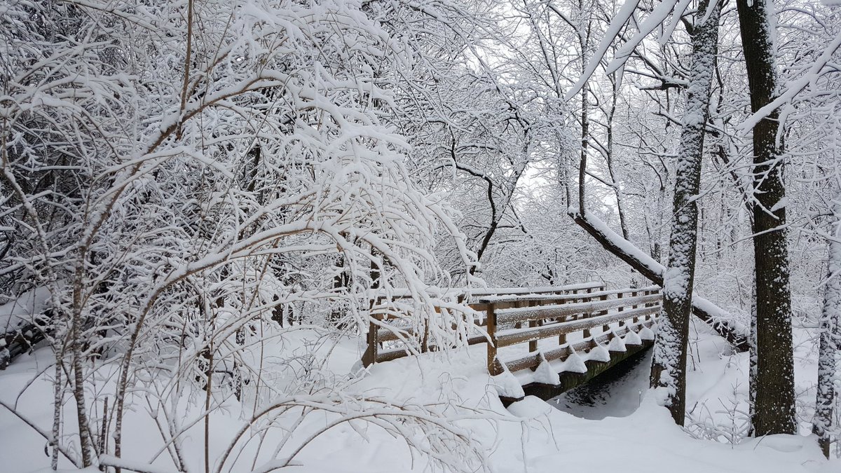 Samual_Gustav's tweet photo. #MyWonderfulCanada #Montreal #LetItSnow https://t.co/nRkkMX8lct