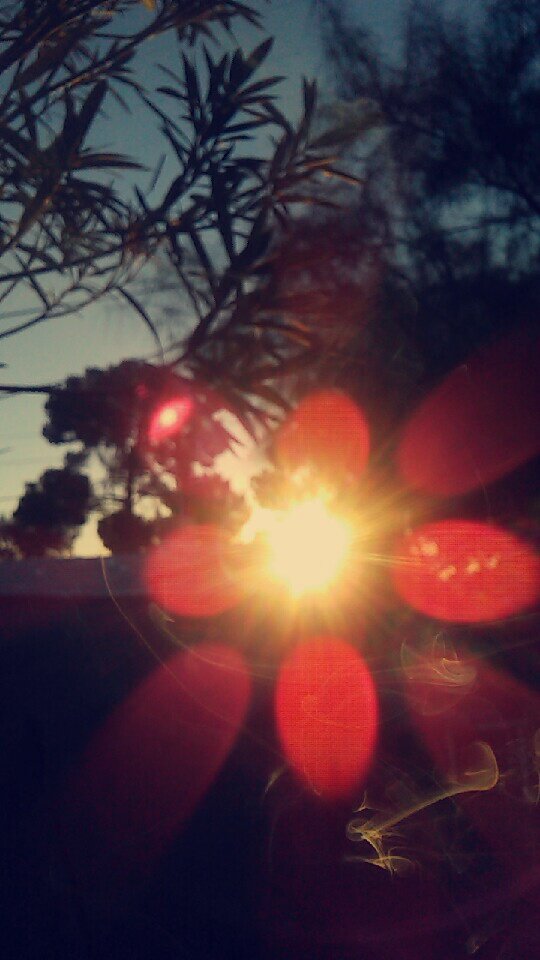 Crass420xo's tweet photo. #azbeautiful #themorning #AZ #AZsummer #73° 6:27am #IloveArizona #Tucson https://t.co/hjEEFT1fMm