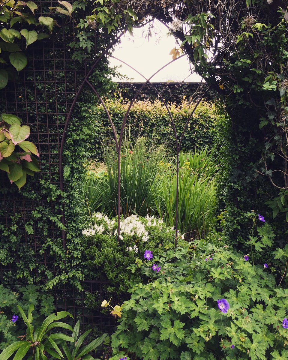 LifeOnPlot50a's tweet photo. Made a short visit to the delightful #whimble nursery in #Powis - not #allotment related but lovely to see the #flowers and #gardens https://t.co/vtyHkUMnNA