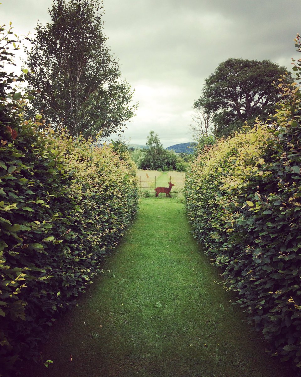 LifeOnPlot50a's tweet photo. Made a short visit to the delightful #whimble nursery in #Powis - not #allotment related but lovely to see the #flowers and #gardens https://t.co/vtyHkUMnNA