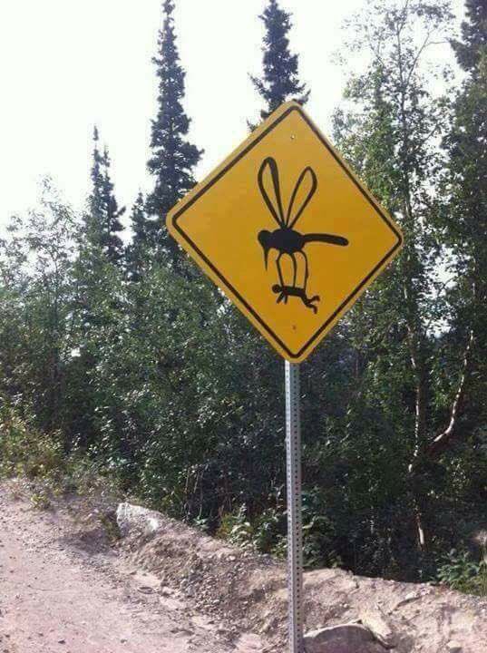 steinunnp's tweet image. Truth! #campingproblems #OnlyInCanada