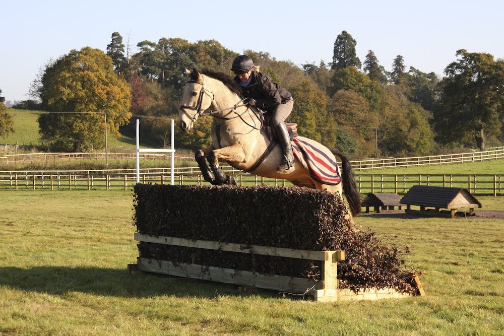 Littleton Manor EQ