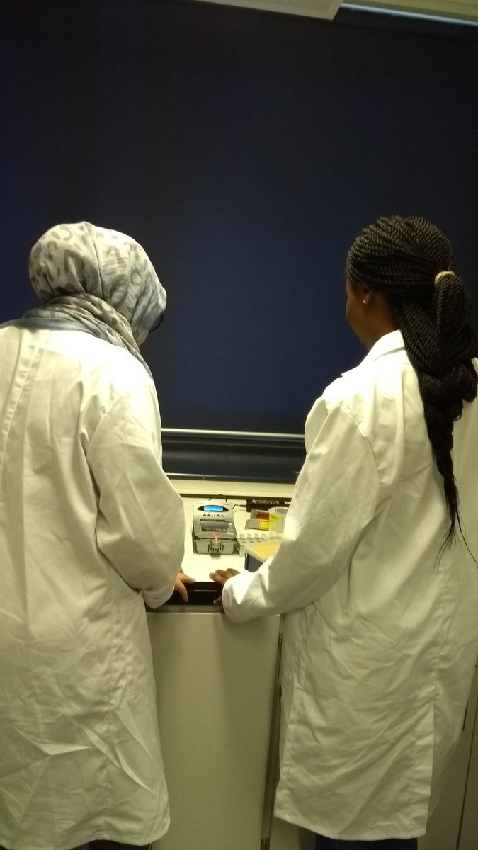 FrankieMacM's tweet photo. Busy but rewarding day. Outreach for Insight in London.@UoBrisPPN @BristolBiochem https://t.co/LrTU6Q1ZT7