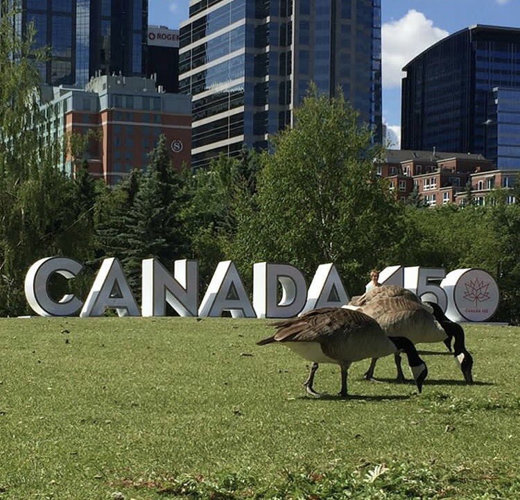 Ron_White's tweet photo. Happy Canada Day to all my Canadian friends and fans. Love your whiskey...let's not discuss your geese. #HappyCanadaDay #BuildANet https://t.co/a1YcUIcET5