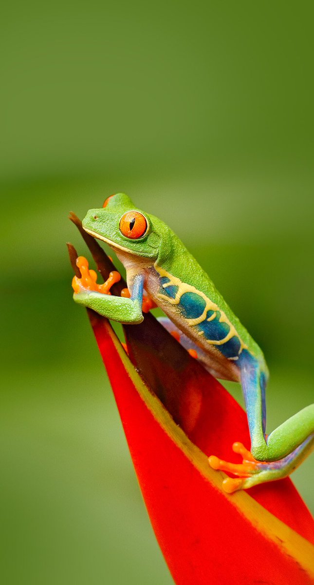 #TT4F 
<a href="/ScarfaceQbc/">Scarface #TT4F #MGWV</a> @ZigIar 
@malemalefica <a href="/kleinslag/">⭐️Ꮩ̼̐͜͡Ꮠ͋͢Ꭾ•ღ🅹🅰🅽ღ•ℳ Ꮆ Ꮗ Ꮙ•ღ</a> 
@VanessaNut20202 @Anny_______0es3 
<a href="/Quinnqueens/">Quinn 💛(G.Quinn Rogers)</a> <a href="/vilaandrealili1/">AňԀяєa し.❥ ∞</a> 
<a href="/Ahmad_Haif/">Ahmad Haif 𓂆 🇵🇸</a>