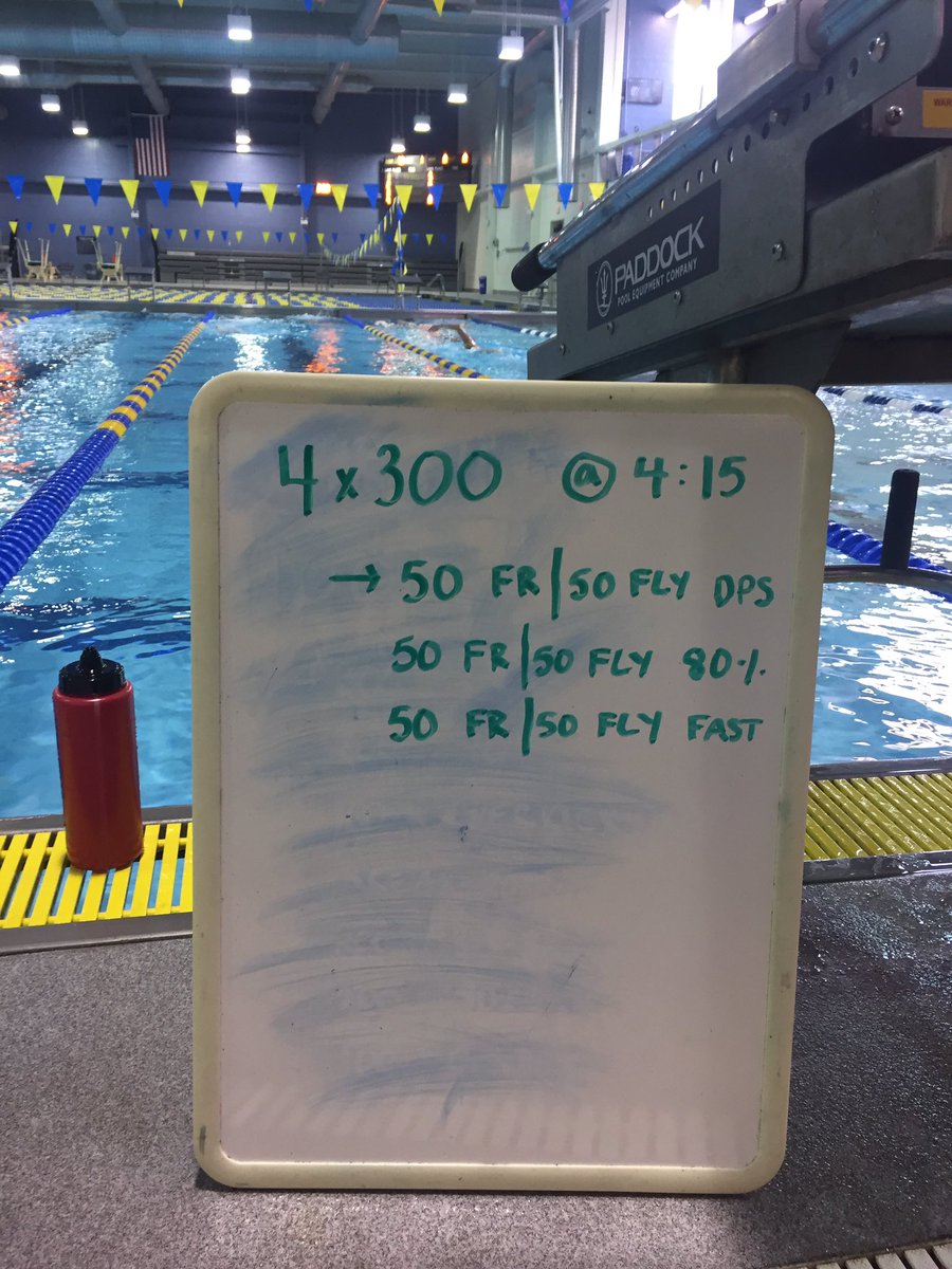SwimCoachKyle's tweet photo. Honored to coach the NSS Senior Group today. 9200 yard freestyle practice 💪🏼 #GoSnakes #GetOnOurLevel https://t.co/wCZ9RPyQah