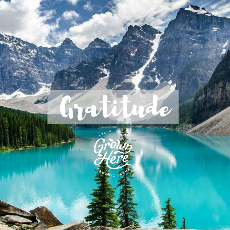 Today, we acknowledge, reflect, and practice #gratitude for the unceded land that we live on + call home. #150 #canadaday #150+