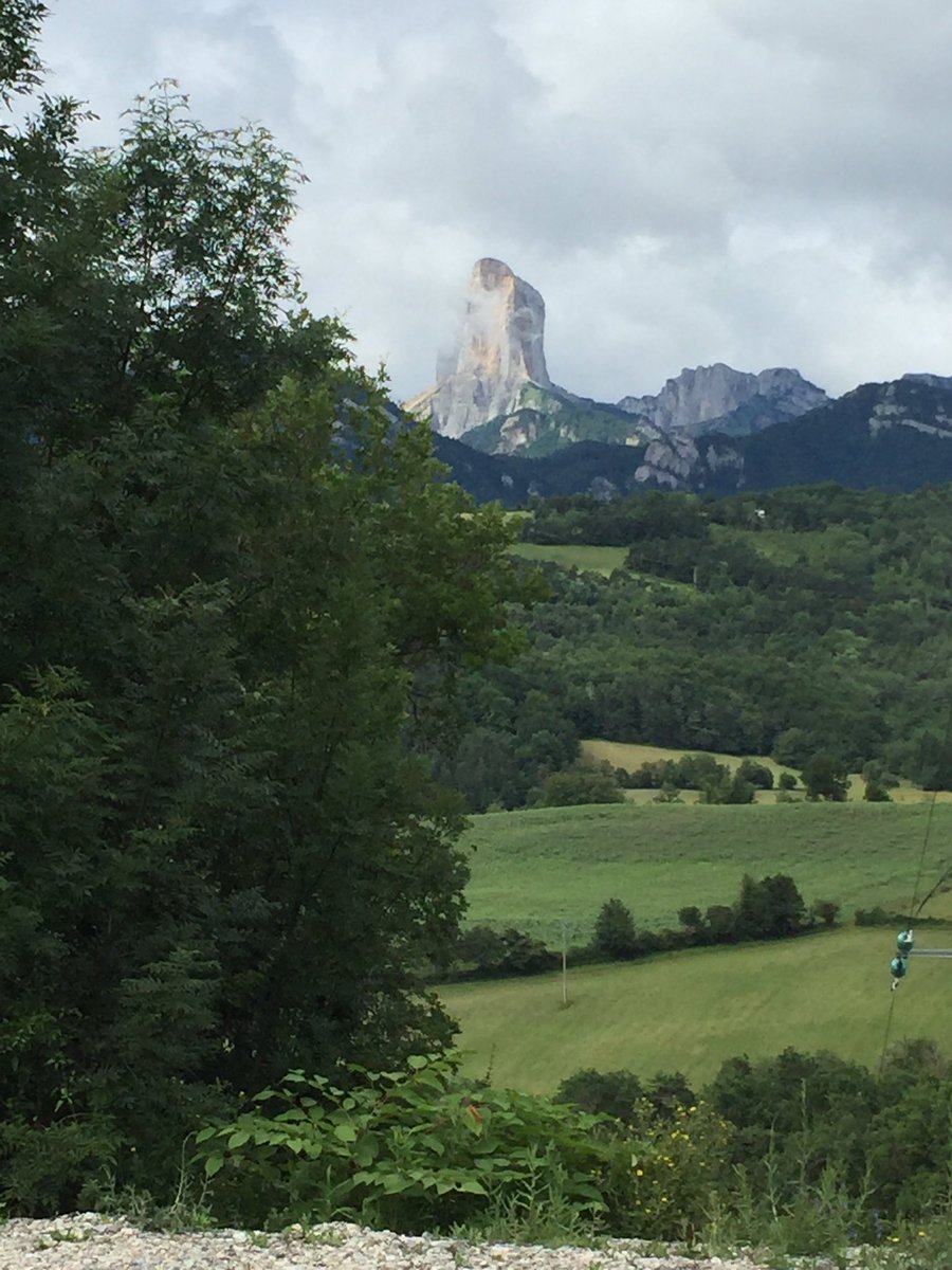 martin mangan tweet media