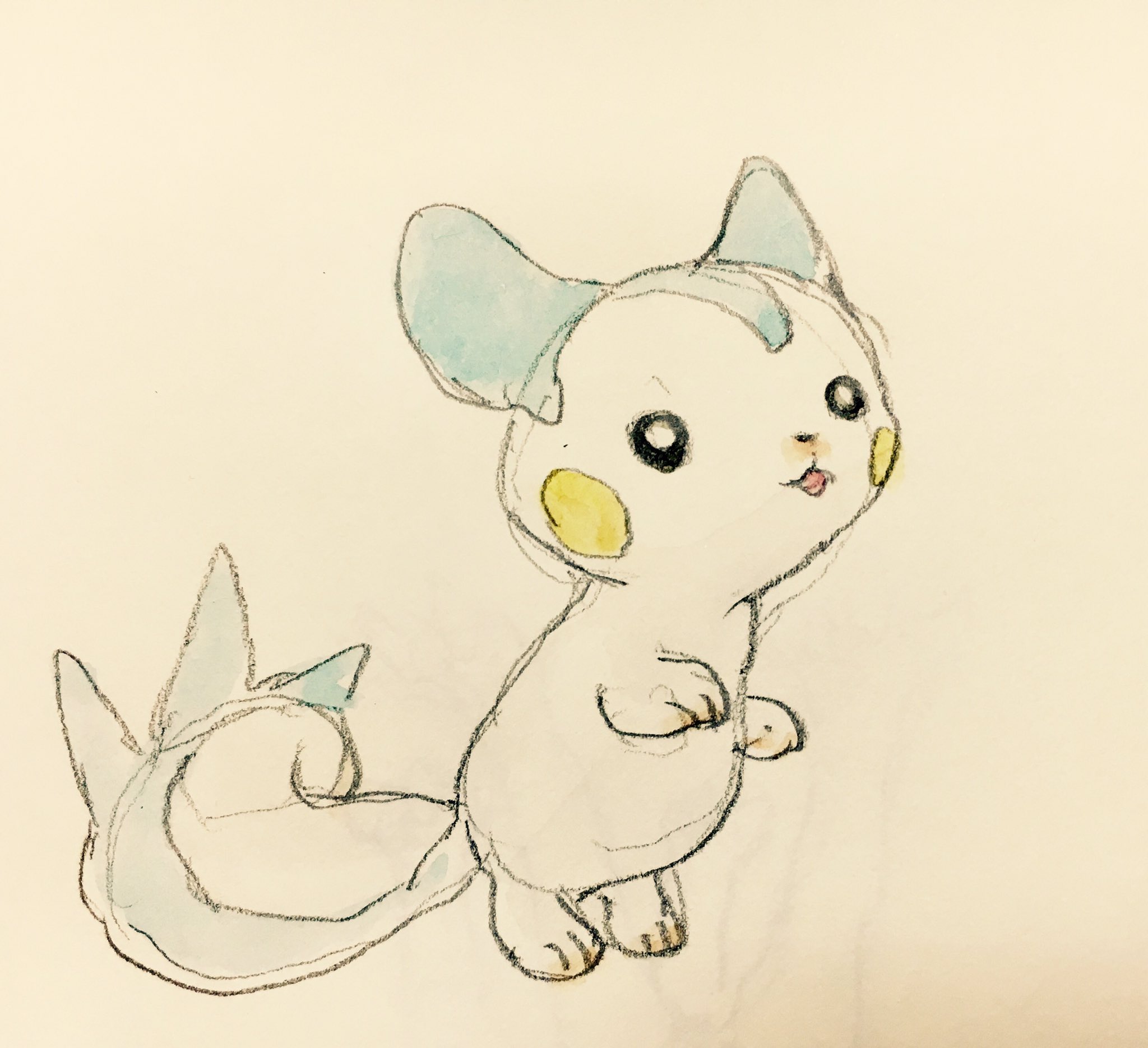 ハスリ 無進化ポケモンの幼体を妄想するのが楽しい T Co Myq97jsrkn Twitter
