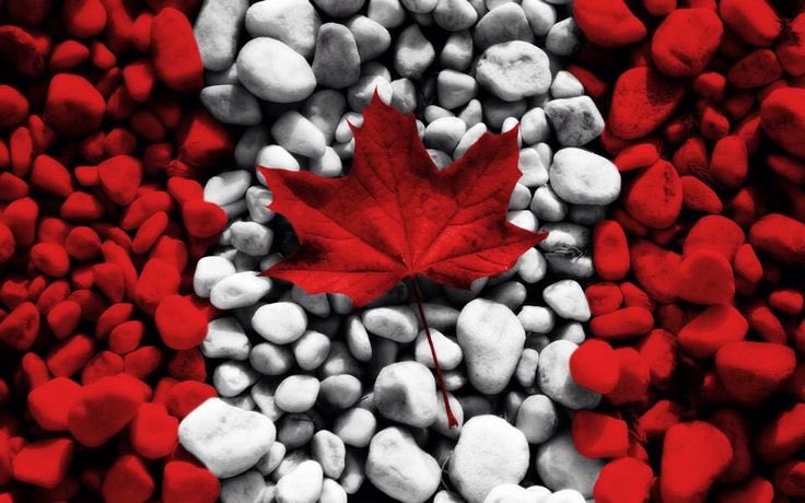 Happy Canada day BMX peeps! #CanadaDay2017 #cochrane #bmx #lovebmx #canadaday150
