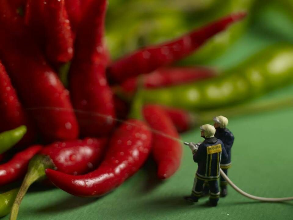 rakeep12's tweet image. 