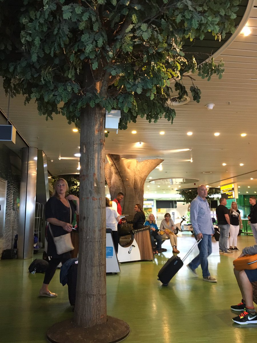 stefanovich1988's tweet photo. Zit midden in de natuur van @Schiphol #GatesD 🍀🌲🐦🐠
#Beleving https://t.co/n20Fkg44xG