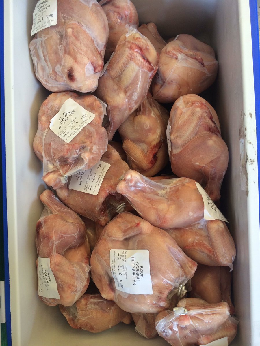 Canada day special buy 3 Cornish get 33% off