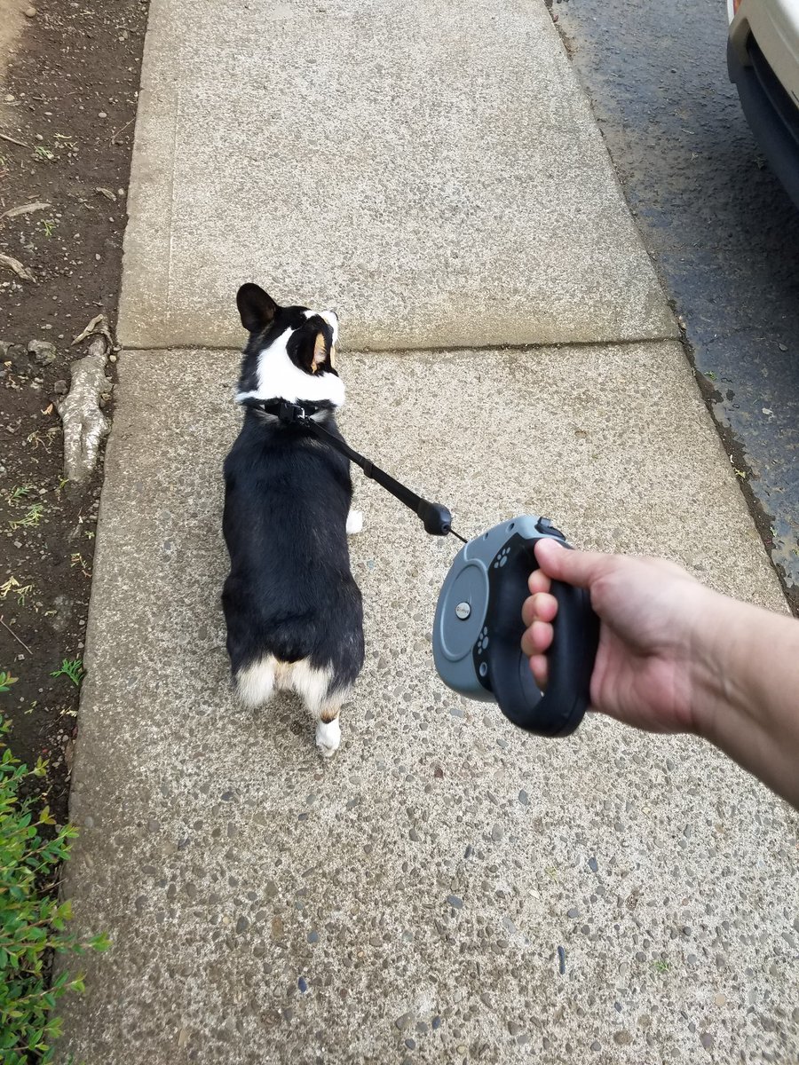 NOTLF's tweet photo. Ok yeah no time to walk to the store! >_< #lateforwork #figday https://t.co/jaqJQSM7Kr