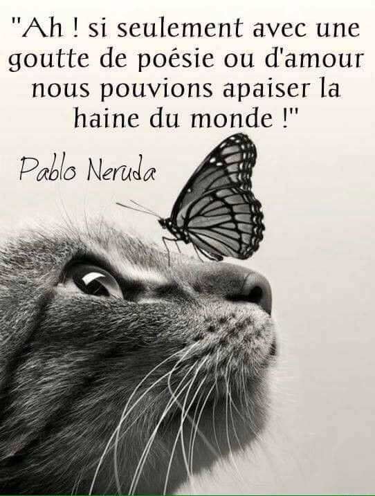 ƥlumɛ ɗ Aɲɠɛ On Twitter Citation Amour Avenir Bonheur