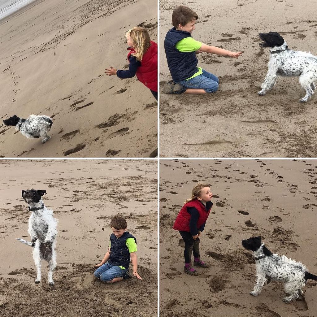 dmjohnsonphotos's tweet photo. Fun and games with Snoopy on the beach #ChildsBestFriend #DogsOfInstagram https://t.co/4ov54JcUOI https://t.co/jYqD6hH768