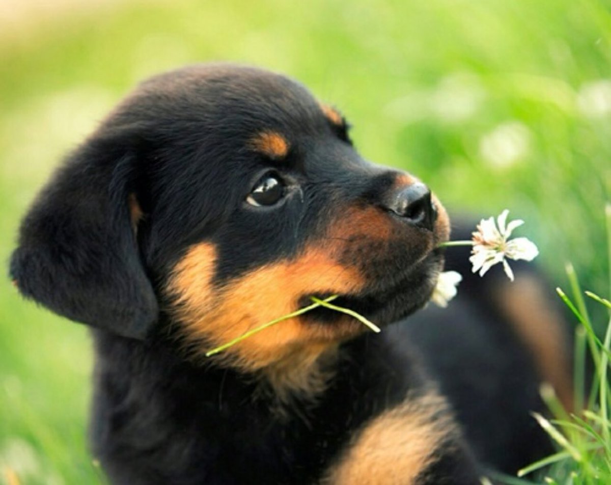 <a href="/Adam1Baum/">RT Foreign Agent ™️🐸 ‏🆎</a> @malemalefica <a href="/ScarfaceQbc/">Scarface #TT4F #MGWV</a> <a href="/GigiFollows/">#GAIN❤#MGWV#G_SQUAD</a> <a href="/M_MartinezRed/">🛩️Mariano😎 👑#TT4F⚜️#MUNEE👑 #MGWV♦️♦️#1DDRIVE</a> <a href="/kleinslag/">⭐️Ꮩ̼̐͜͡Ꮠ͋͢Ꭾ•ღ🅹🅰🅽ღ•ℳ Ꮆ Ꮗ Ꮙ•ღ</a> @VanessaNut20202 @Claire_MGWV <a href="/malindanight/">Malinda</a> #TT4F 🐾 #G_SQUAD 
<a href="/ScarfaceQbc/">Scarface #TT4F #MGWV</a> <a href="/GigiFollows/">#GAIN❤#MGWV#G_SQUAD</a> 
<a href="/M_MartinezRed/">🛩️Mariano😎 👑#TT4F⚜️#MUNEE👑 #MGWV♦️♦️#1DDRIVE</a> <a href="/kleinslag/">⭐️Ꮩ̼̐͜͡Ꮠ͋͢Ꭾ•ღ🅹🅰🅽ღ•ℳ Ꮆ Ꮗ Ꮙ•ღ</a> 
@VanessaNut20202  
@Claire_MGWV @VanessaNut20202  
<a href="/malindanight/">Malinda</a>