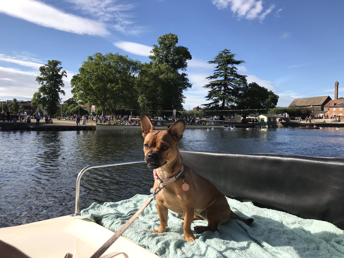 SUA_online's tweet photo. Back from Day 1 of the Stratford-upon-Avon @river_festival. What a wonderful day, fantastic event, great atmosphere. https://t.co/e3nTdFeFQz