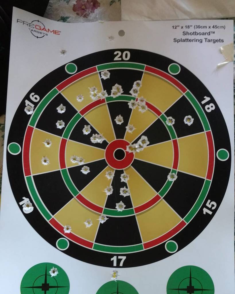 _Freepetra's tweet photo. Went shooting for the first time today, I did alright! Thanks @33rache ! https://t.co/YeO2zYVkqZ https://t.co/0N2gMdDD0L