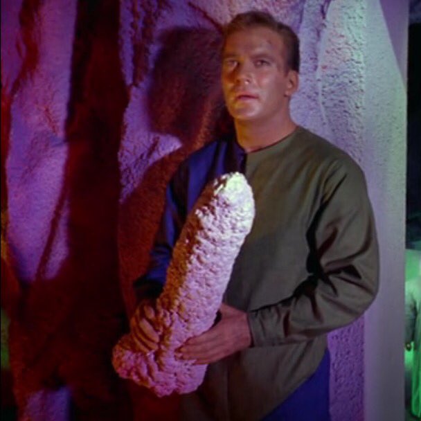 stardreck1701's tweet photo. When your significant other wants to introduce a sex toy... #startrek #startrektos #whatarelittlegirlsmadeof #captainkirk #dickrock https://t.co/VLkmacFUe5