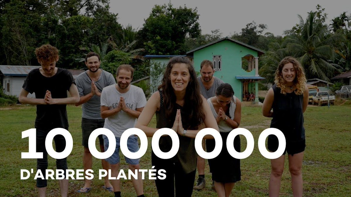 Ecodringg's tweet image. 10 millions d&apos;arbres plantés avec @Ecosia buff.ly/2uqe3m6 via @YouTube #unarbrealafois