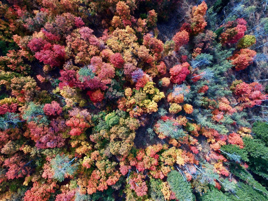 dronenotamapp's tweet photo. Photo By Layne Lawson | Unsplash 
 #droneslife #dronestrikes #dronesemarang #droneshow #dronestragram https://t.co/coH4MVwuMP