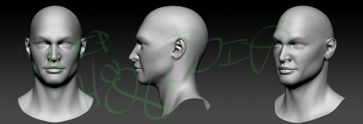 HeatherElroyART's tweet image. A head. Modeled after #JasonMamoa, but wont be him in the end. Feel Free to leave feedback #3Dmodeling #Zbrush #GameDev #CharacterArt