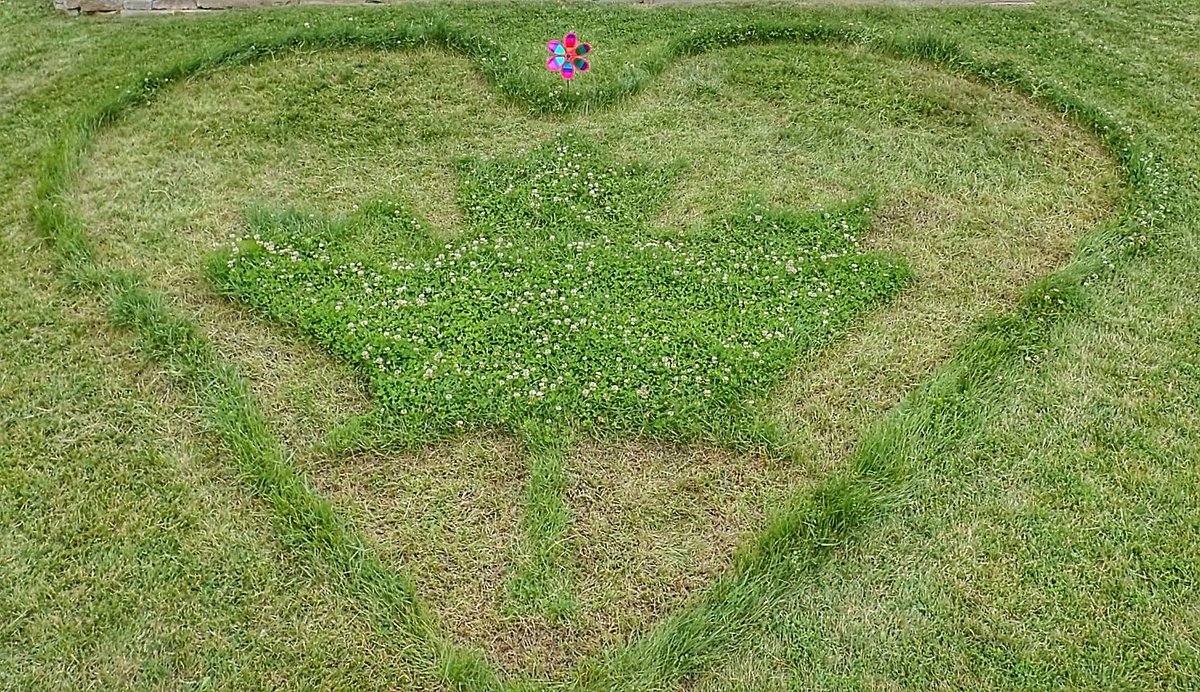 ElfGrl's tweet photo. #Canada150th So much work, but so worth it!!! #HandCutLawnArt #ILoveCanada https://t.co/7B1F9fO1qD