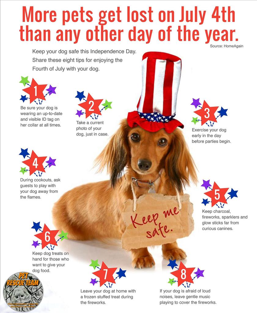 Pets are very sensitive to loud noises and can take off and most will never make it back ... Keep your pets safe at home this 4th if July.