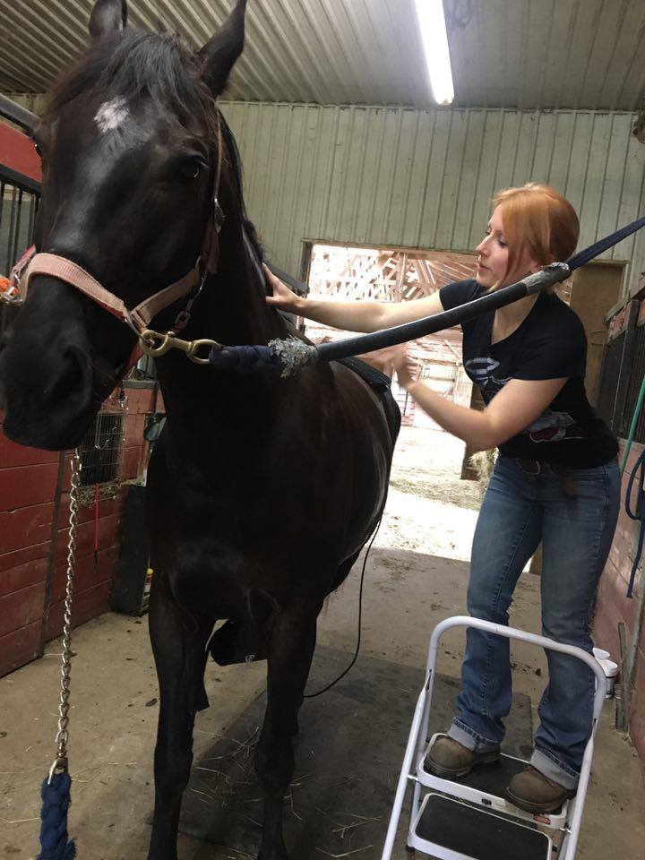 StasisEquine's tweet photo. Welcome to my office...💜 #BarnHairDontCare https://t.co/EWbpWGgi7D