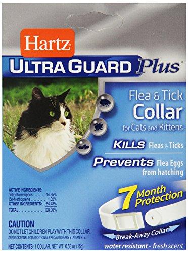 lovecat247's tweet photo. Hartz UltraGuard Plus, Fle...
Right here => https://t.co/XMZaN8niSp
#catPetSupplies #catFleaTickControl #TURNamc #catCategories #Rapids96 https://t.co/y1GiXtNrlZ